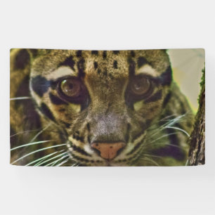 Banderoles Leopard obscurci