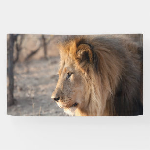 Banderoles Lion Portrait
