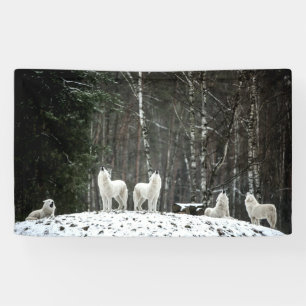 Banderoles Loup polaire sauvage