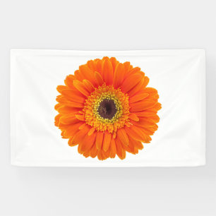 Banderoles Marguerite orange de Gerbera