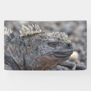 Banderoles Marine Iguana