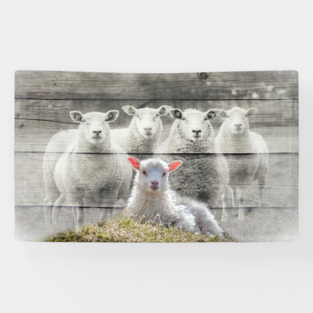Banderoles Mouton d'agneau de bébé (Horizontal)