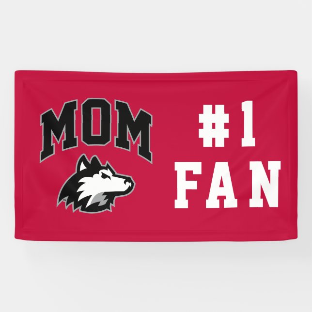 Banderoles NIU Huskies (Horizontal)