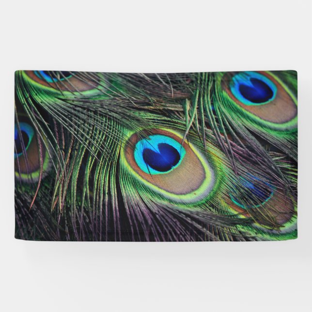 Banderoles Paon (Horizontal)