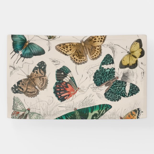 Banderoles Papillons Collection Antique Papillons (Horizontal)
