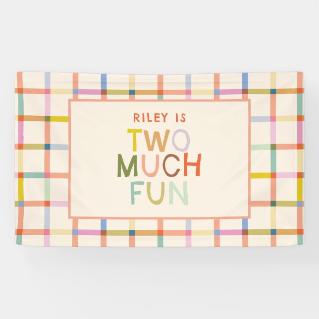 Banderoles Pastel Plaid "Two Many Fun" 2e anniversaire (Horizontal)