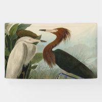 Peinture de la faune d'Audubon Heron violet