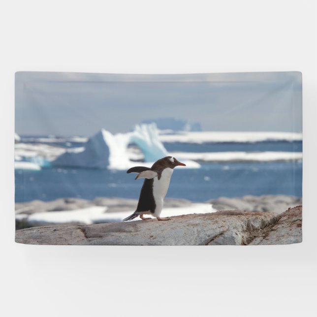 Banderoles Pingouin devant une arche de glace (Horizontal)