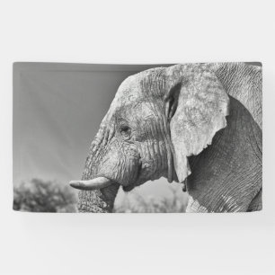 Banderoles Portrait d'éléphant