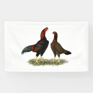 Banderoles Poules Aseel Black Red