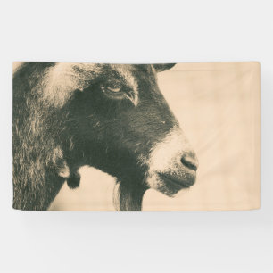 Banderoles Profil de chèvre