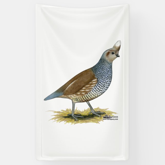 Banderoles Quail à échelle (Vertical)