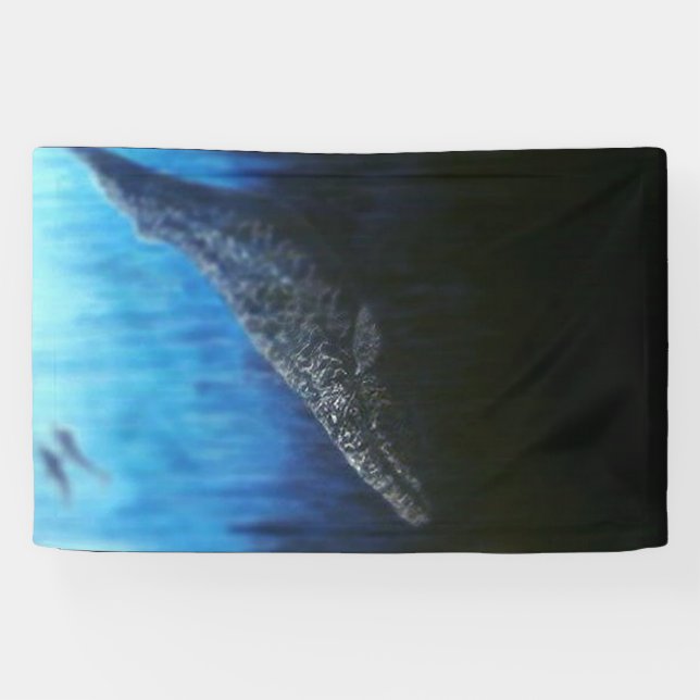 Banderoles Raie grise (Horizontal)