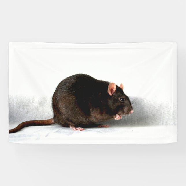 Banderoles Rat bnrcnm (Horizontal)