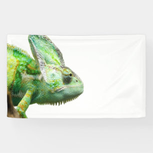 Banderoles Reptile exotique