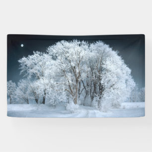 Banderoles Route des neiges à travers les arbres décongelé