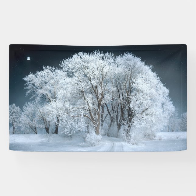 Banderoles Route neigeuse à travers les arbres gelés (Horizontal)