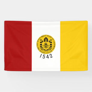Banderoles San Diego ville Californie Symbole du drapeau État