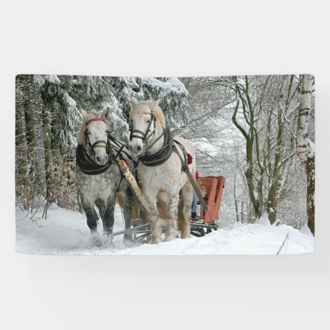 Banderoles Sleigh Ride in Winter Wonderland (Horizontal)