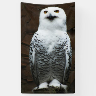 Banderoles Snowy Owl bnrcna