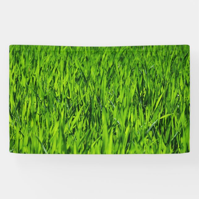 Banderoles Tall Blades of Grass (Horizontal)
