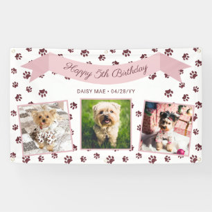 Banderoles Trois Photo Rose Gold Empreintes de Patte Annivers