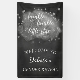 Banderoles Twinkle Little Star   Gris de charbon et argent