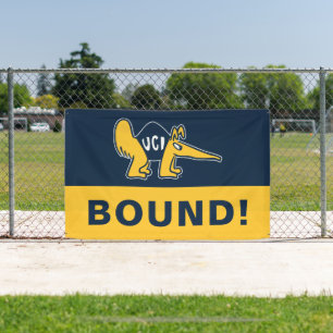 Banderoles UC Irvine Anteaters UCI