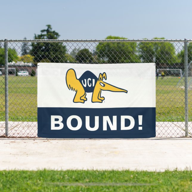 Banderoles UC Irvine | Anteaters UCI (Insitu)