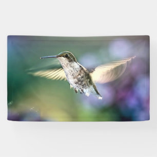 Banderoles Vol de colibri
