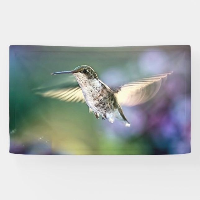 Banderoles Vol de colibri (Horizontal)