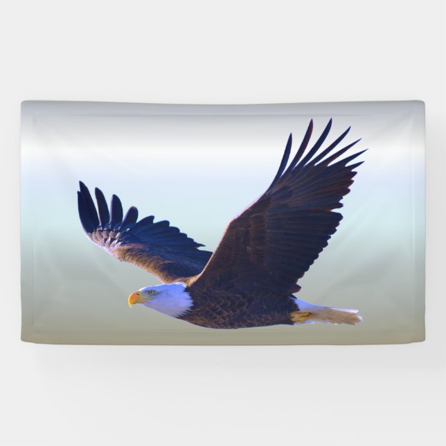 Banderoles Voler d'Eagle chauve (Horizontal)