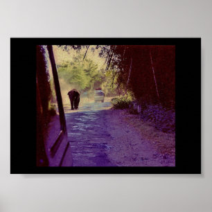 Bandipur National Forest Poster