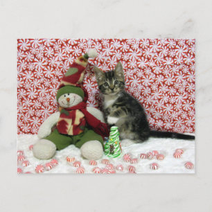 Bandit and the Snowman - Katze / Kätzchen Weihnach Feiertagspostkarte