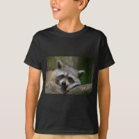 Bandit in der Erholung Niedlich Raccoon