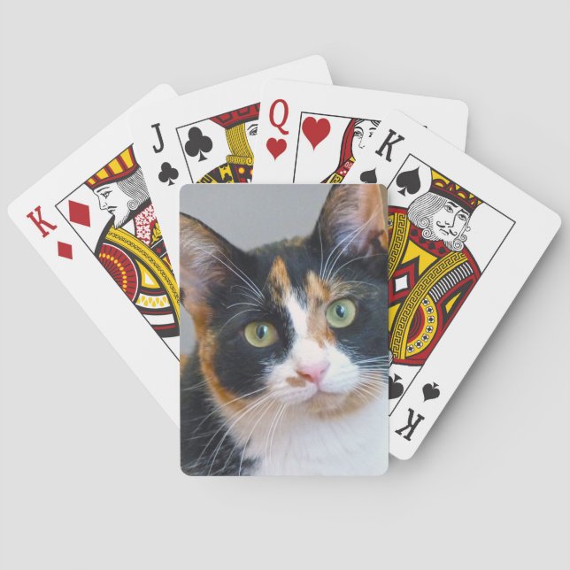 Bandit Spielkarten (Rückseite)