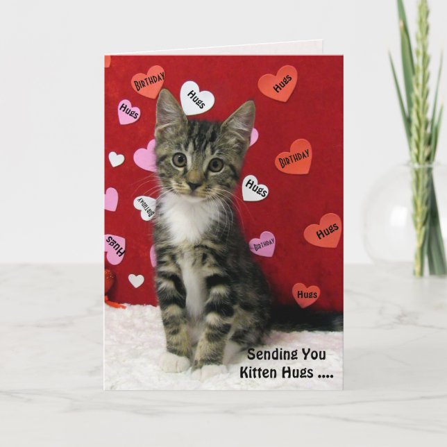 Bandit's Happy Birthday Card (3335) Karte (Vorderseite)