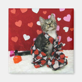 Bandit's Liebe - Katze / Kitten Magnet für Valenti