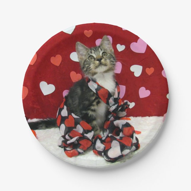 Bandit's Liebe - Valentine - Katzenjacke / Kitten  Pappteller (Vorderseite)