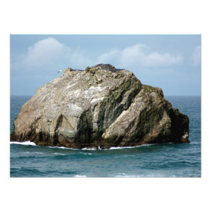 Bandon Oregons berühmter Gesichts-Felsen-Foto-Dru Fotodruck