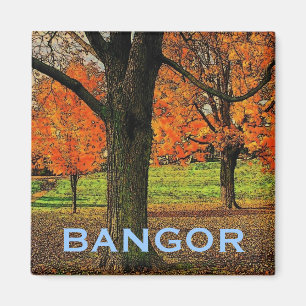 Bangor-Magnet Magnet