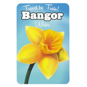 Bangor, Wales Vintag Daffodisches Reiseposter Magnet