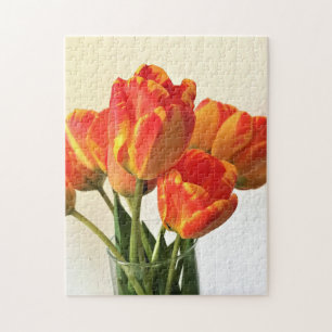 Banja Luka Tulips