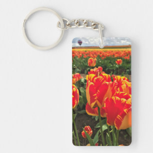 Banja Luka Tulips avec Hot Air Balloon
