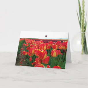 Banja Luka Tulips in einem Feld mit Heißluftballon Karte