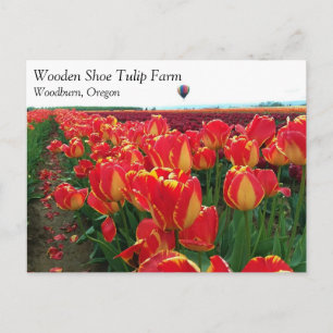 Banja Luka Tulips in einem Feld mit Heißluftballon Postkarte