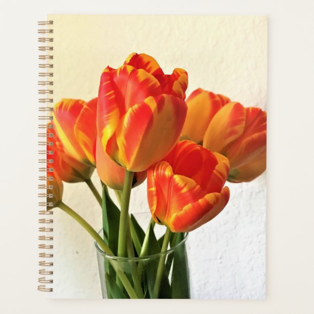 Banja Luka Tulips Planer (Vorderseite)