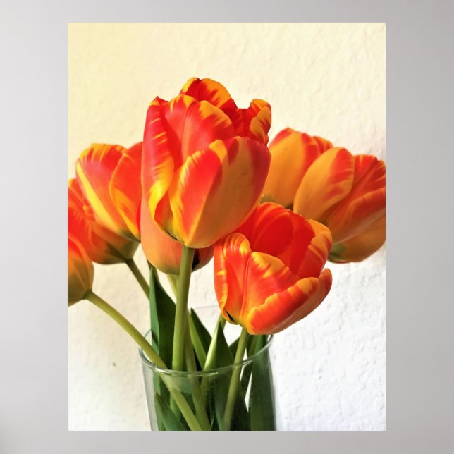 Banja Luka Tulips Poster (Vorne)