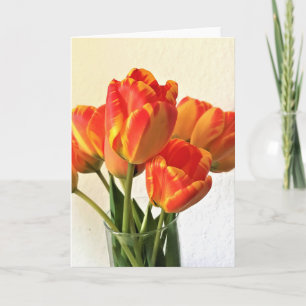 Banja Luka Tulpen Karte