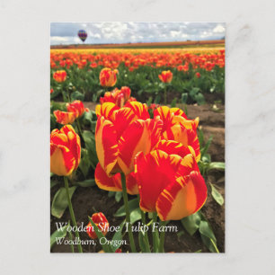 Banja Luka Tulpen mit Heißluftballon Postkarte